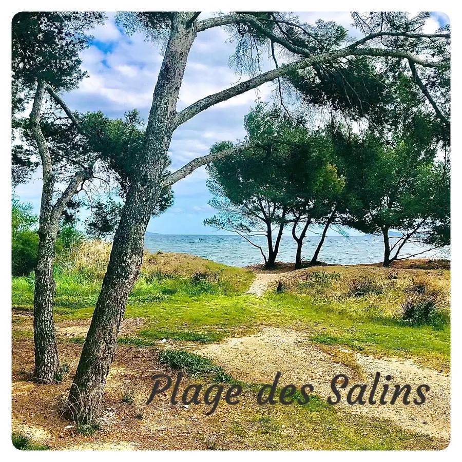 Studio Port D'Hyeres Vue Mer Et Iles De Porquerolles Et Port-Cros