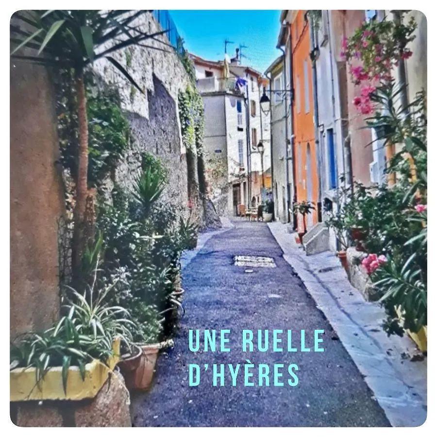 Studio Port D'Hyeres Vue Mer Et Iles De Porquerolles Et Port-Cros Апартаменты