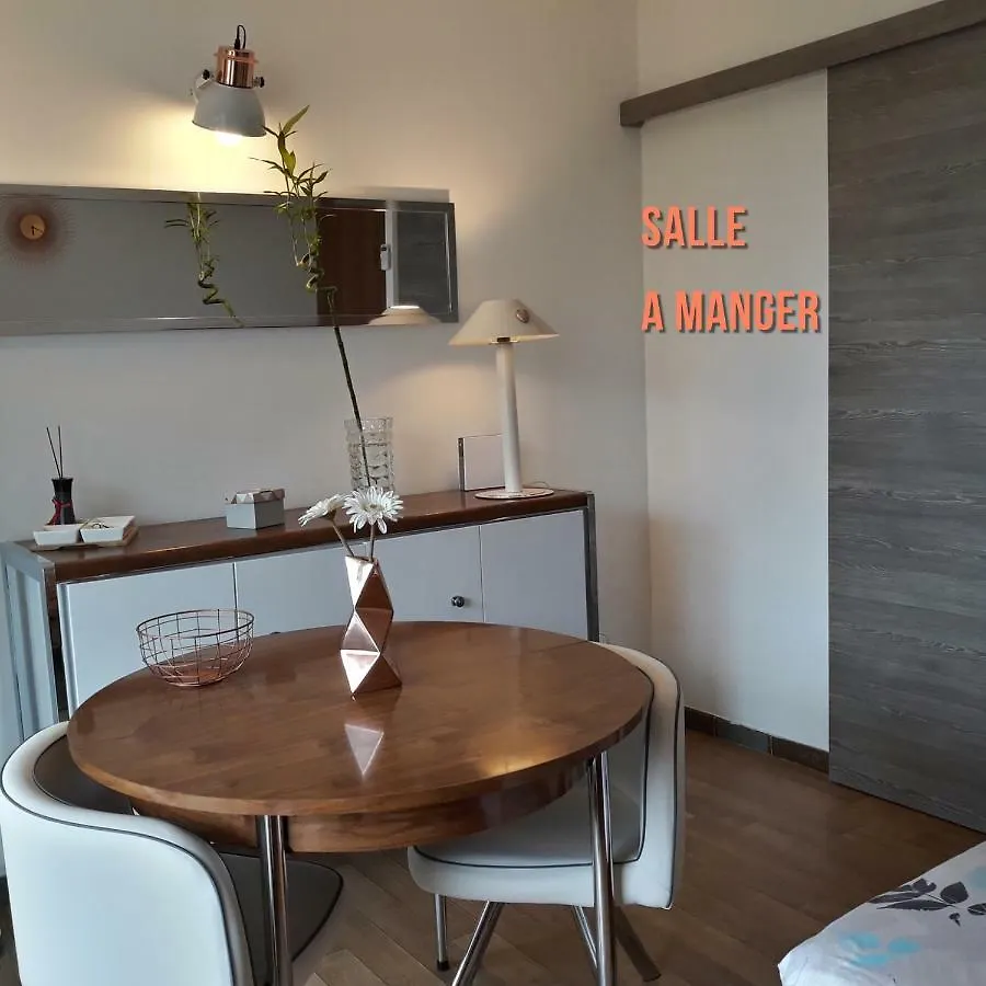 Апартаменты Studio Port D'Hyeres Vue Mer Et Iles De Porquerolles Et Port-Cros Франция